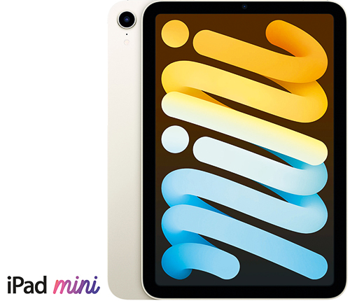 iPad mini 8,3